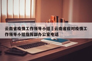 云南省疫情工作领导小组›云南省应对疫情工作领导小组指挥部办公室电话