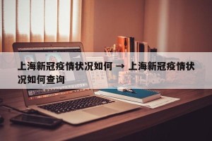 上海新冠疫情状况如何 → 上海新冠疫情状况如何查询