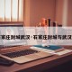 【石家庄封城武汉·石家庄封城与武汉封城】