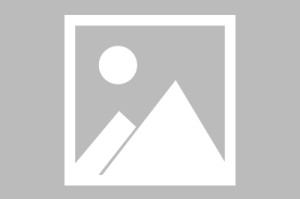 必看教程“乐清大玩家辅助器”详细开挂安装教程