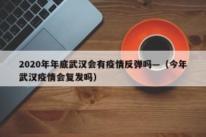 2020年年底武汉会有疫情反弹吗—（今年武汉疫情会复发吗）