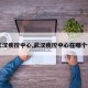 【武汉疾控中心,武汉疾控中心在哪个位置】