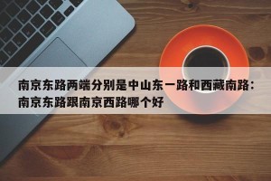 南京东路两端分别是中山东一路和西藏南路：南京东路跟南京西路哪个好