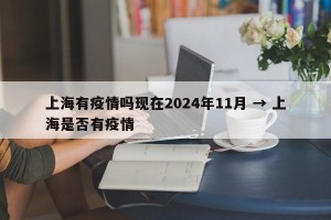上海有疫情吗现在2024年11月 → 上海是否有疫情