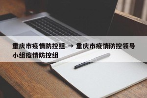 重庆市疫情防控组 → 重庆市疫情防控领导小组疫情防控组
